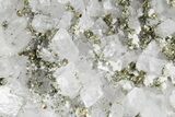 Columnar Calcite w/ Sparkling Chalcopyrite & Pyrite - Fluorescent! #360646-1